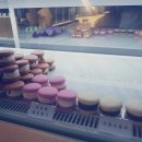 상남동296 이미지