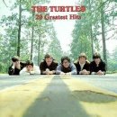 Happy Together-The Turtles 이미지
