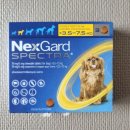 고은온누리약국 이미지