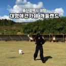 도담도담동물병원 | 울산 부산 근교 강아지 운동장 애견카페 개들랜드 N번째 방문 후기 | 입장료, 시설후기