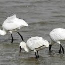 천리환경 이미지