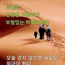 칡순건재 고비건재 고사리건재 이미지