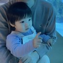 25개월 아기와 함께하는 서울여행 [롯데호텔 월드, 더현대서울, 롯데월드, 아쿠아리움, 롯데타워]
