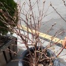 새싹공인중개사사무소 이미지