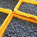 순창농장 이미지