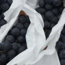 반해버린농장 이미지