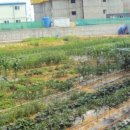 풍림농장 이미지