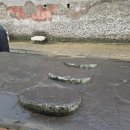 대서광장(공연장) | 12월 서유럽 신혼여행, 이탈리아 로마 남부투어 폼페이 (feat. 맘마미아 투어 문성준 가이드)