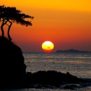 황포돗대 이미지