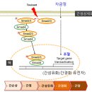 동국한약방