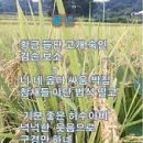 차윤
