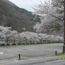 백양사진입로 이미지