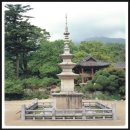 장한건설(주) | 四字成語 총정리 <ㄱ> 207 강동무화과~강력선반