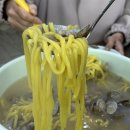 인생맛집손칼국수 | [용인 보정동] 칼국수 원탑 맛집 황도 바지락 손 칼국수 인생 칼국수 솔직후기