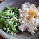 낙지한마리수제비 이미지