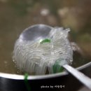 봉덕곰탕