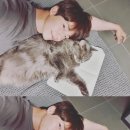 알콩달콩 이미지