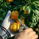 제주하우스 이미지