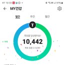 10월 22일 하루 만보 이미지