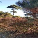 낭산면-1 이미지