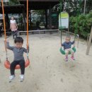 멍멍이까까 이미지