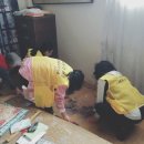 대부동행정복지센터 이미지