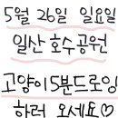 스튜디오레이지캣