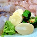 일출회물회 이미지