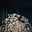 오늘하루가 전대후문점 이미지