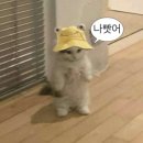 주주 노래타운 이미지