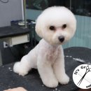 잇츠그루밍타임 이미지