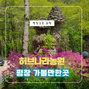 나라농원 | 평창 가볼만한 곳 허브나라농원 부모님과 가기 좋은 힐링 여행지