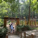 숲 - 광산구 첨단중앙로152번길 13 | 숲