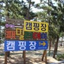 몽산포패밀리데이캠핑장 네이버블로그