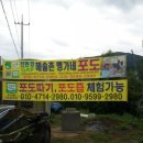 서린농장 이미지