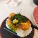 스시하루 | 수원) 회전초밥 맛집 "스시하루" 솔직후기~!!