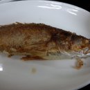 산중가든식당 Daum카페