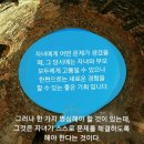 생태 스토리텔링 해바라기 호박의 효능 ☞예시바대학 하브루타(유대인 공부법) 이미지