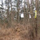 시목정성주유소 이미지