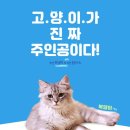 나만 없어 고양이 네이버블로그