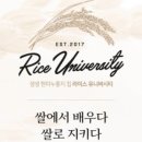 쌀눈쌀현미누룽지 이미지