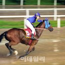 (주)트리플나인
