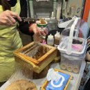 도원태권도 | 🥋 제1회 전국 제주컵 대회 2박 3일 여정기