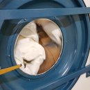 꿈꾸는세탁소 이미지