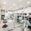 보스톤플란트치과의원 네이버블로그