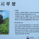 유희하다
