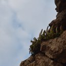 바위솔펜션 이미지