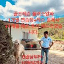 탑스크린골프아카데미 이미지