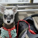 부산펫(주) 이미지