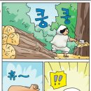 선녀와나뭇꾼 이미지